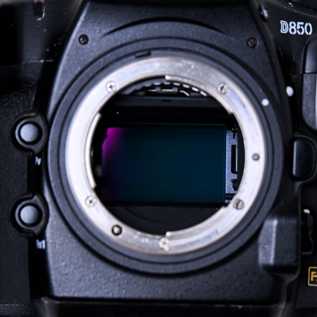 【最安値】Nikon D850 ボディ 実用品