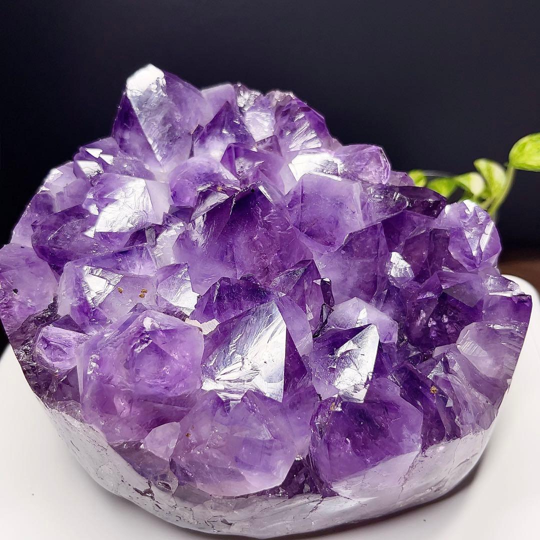 アメジスト　クラスター　原石　紫水晶　天然石　鉱物標本　【超美品】　激レア