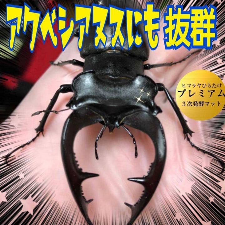 ミヤマクワガタ、ノコギリ幼虫に抜群！800mlボトル入プレミアム発酵マット15本