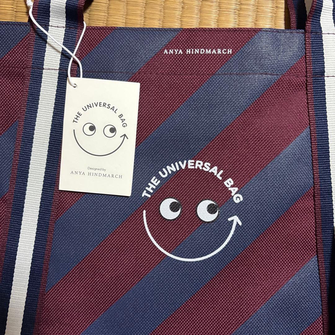 アニヤハインドマーチ ユニバーサルバッグセット 英国本店限定