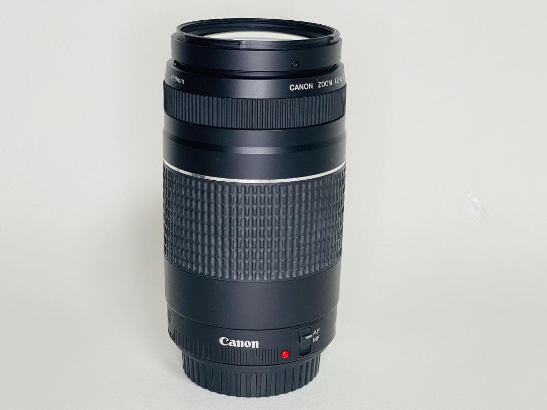【完動品】 Canon EF 75-300mm F4-5.6 III 望遠レンズ