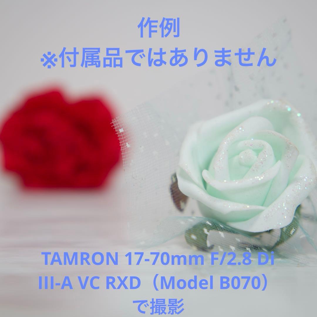 レンズ(ズーム) TAMRON 17-70mm f/2.8 Di III-A VC RXD