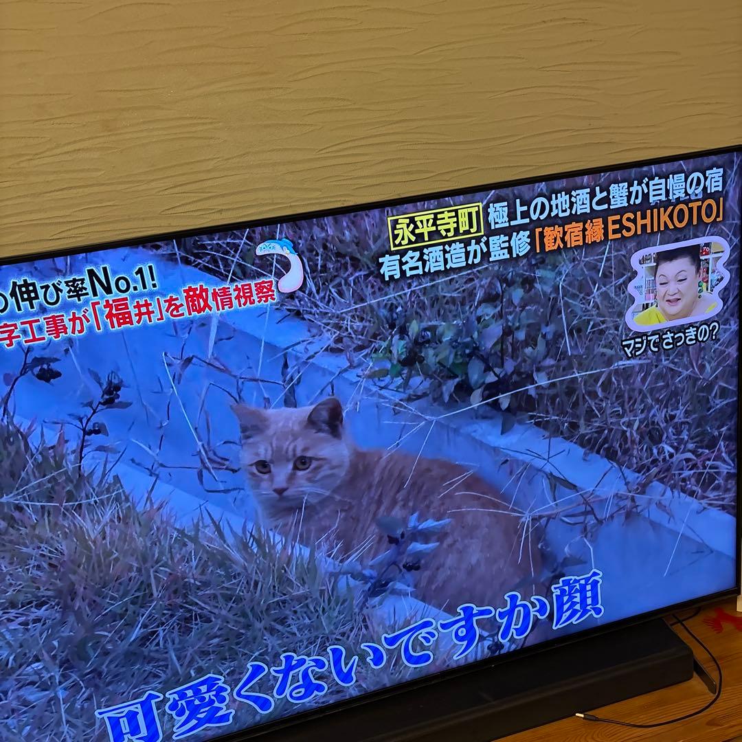 愛知発　引き取り限定特価　65プラビアCTモデル 液晶テレビ 本体