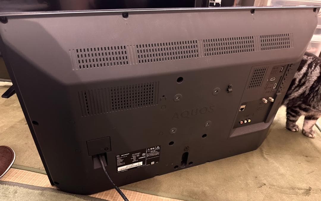 SHARP シャープ　32型　テレビ 2T-C32AE1 2019年製　超美品！