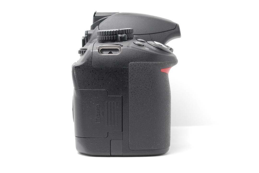 【新品級ショット数　美品】Nikon D3100　スマホ転送　動画も撮影できる