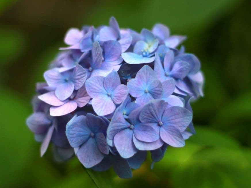 ★ Canon EOS Kiss X4 デジタル一眼レフ 本体とレンズセット