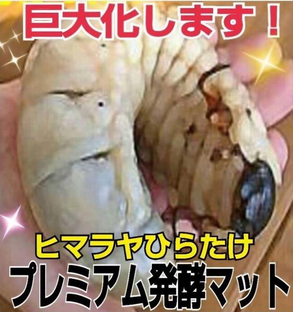 ヘラクレスに抜群！プレミアム3次発酵カブトムシマット【たっぷり60リットル】