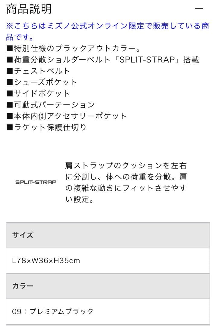 ミズノ公式オンライン限定】ラケットバッグ(9本入れ)TOUR09g