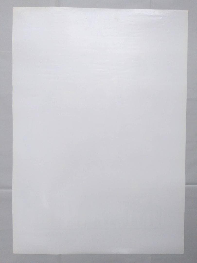 ファイナルファンタジーIX 非売品 FF９ポスター【白】 貴重