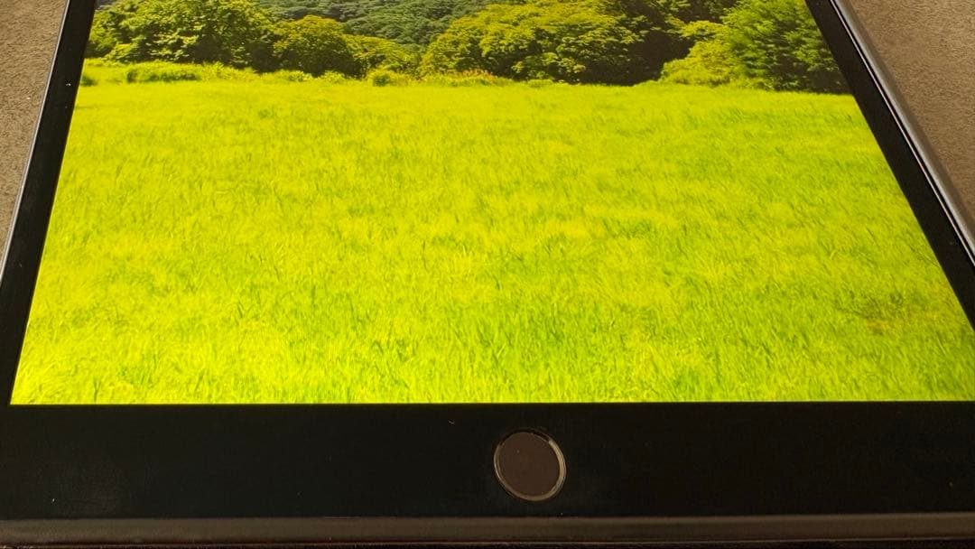 【120Hz高精細】iPad Pro 10.5 64GB スペースグレイ