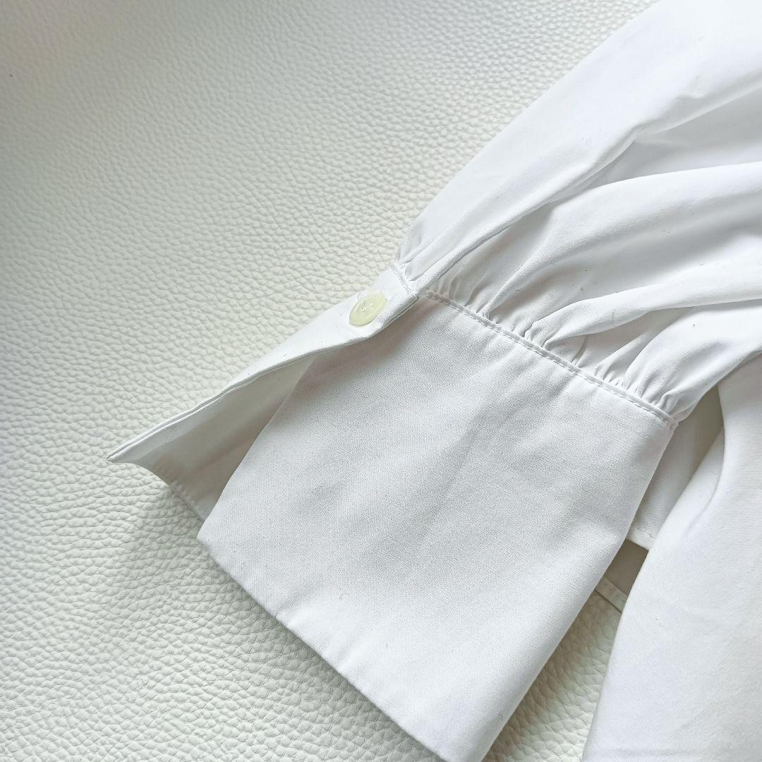 ほぼ未使用✨《セオリーリュクス》25SSバンドカラーブラウス フリル 大きめ