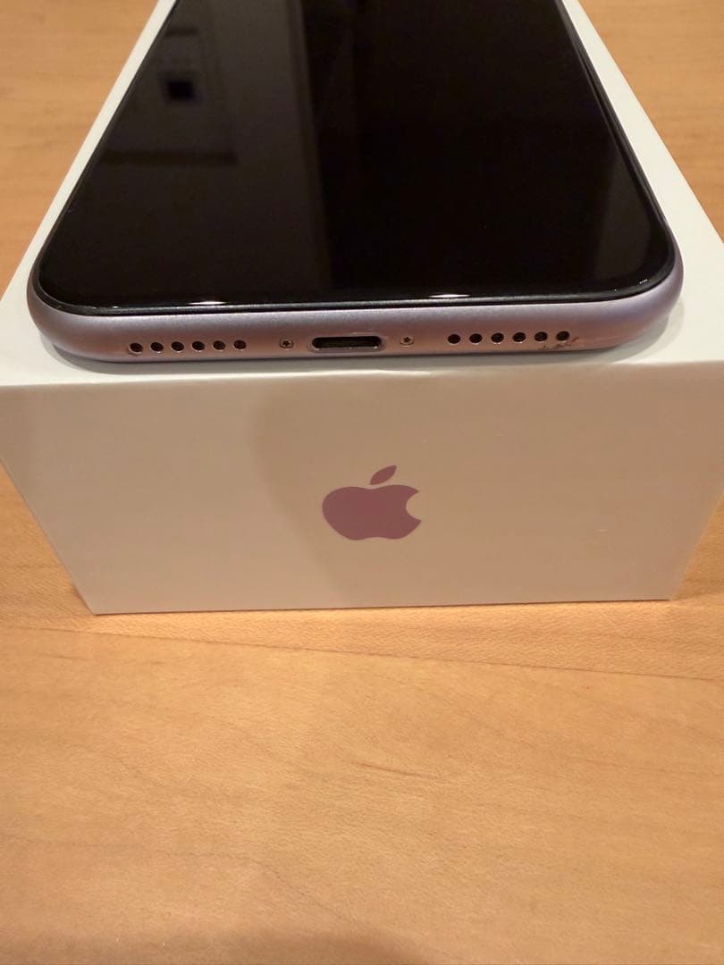 Apple iPhone 11 本体 パープル