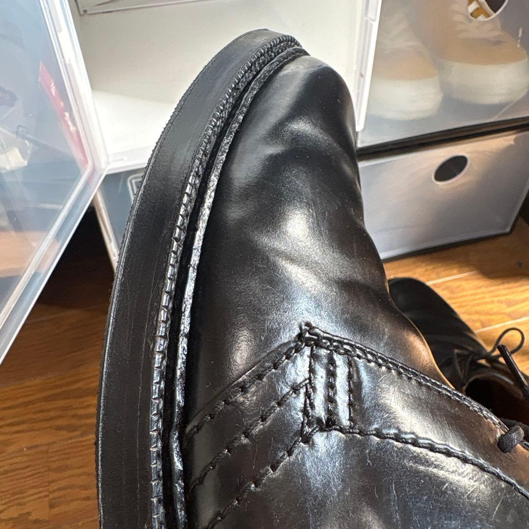 しーくん　オールデン