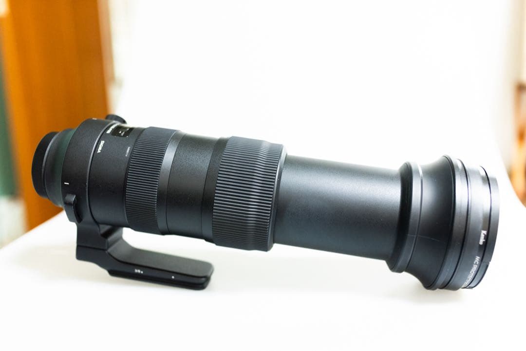 シグマ SIGMA 60-600mm F4.5-6.3 Sports EF