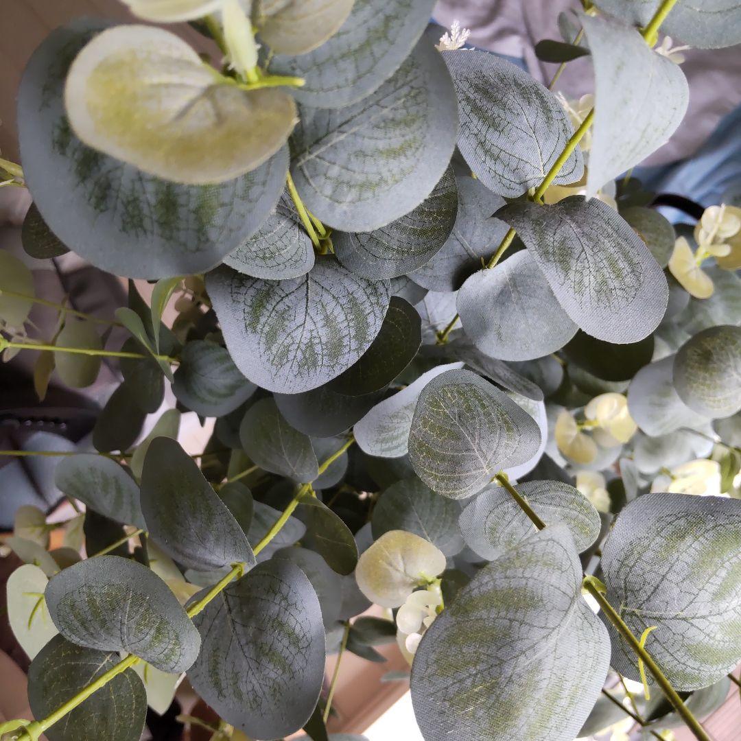 ユーカリの木130cm タイプ！銀丸葉 ！ 大型フェイクプランツ！ 未使用！