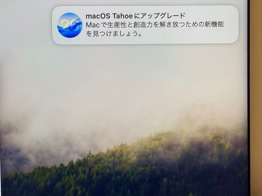 き*ん様 【美品】Apple iMac (M1,16GBメモリ,1TB SSD)