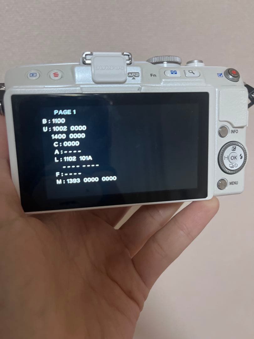 オリンパスOLYMPUS E-PL6 &レンズ(M.ZUIKO 14-42mm)