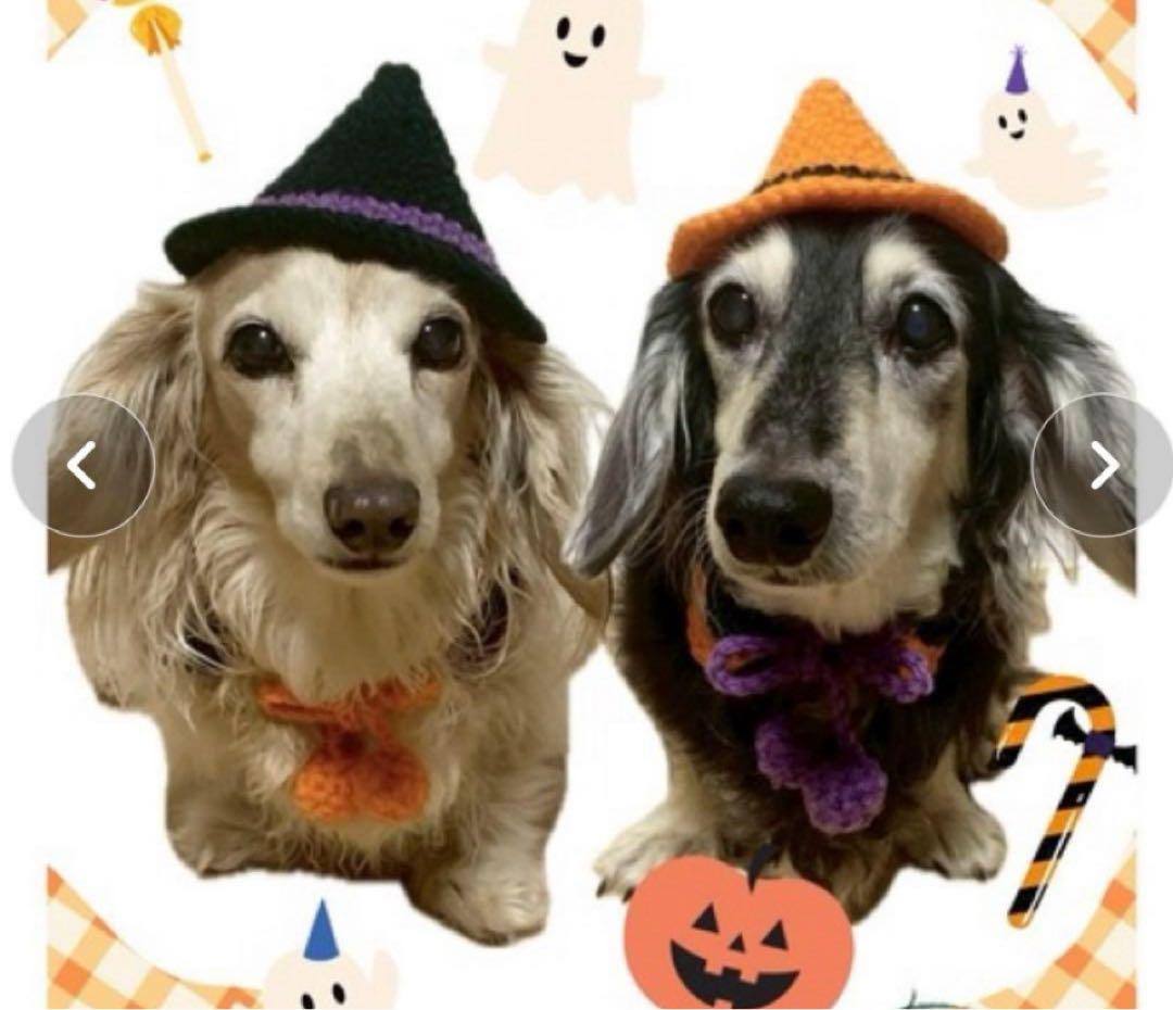 MocoHouse ハロウィン犬用帽子 XS