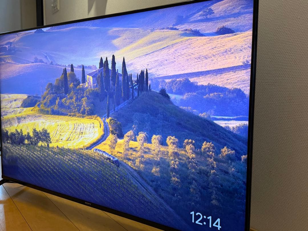 ジャンク SONY BRAVIA XRJ-55X90J 本体のみ