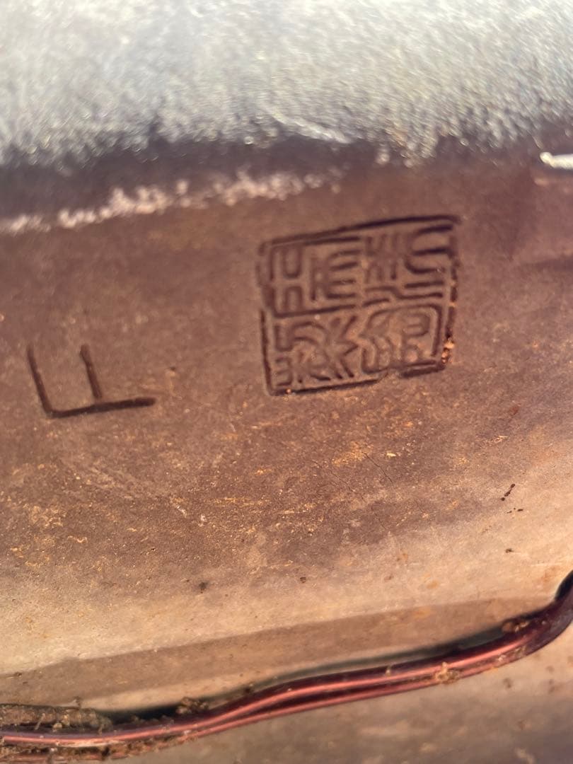 山採り黒松盆栽