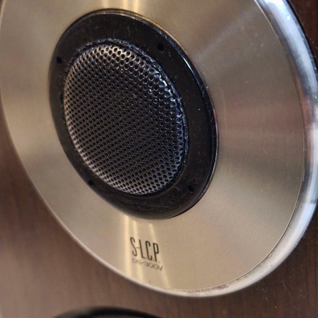 DIATONE DS-G20 ユニット ＋ DS-300V エンクロージャー