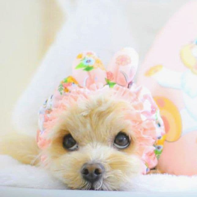 XSワンピース3点+スヌード2点の5点セット　サーカスサーカスCIRCUSCIR