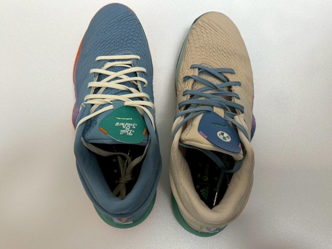 アシックス　ボーラホリック　アンプレアルス　ロー　26cm　バカ履き