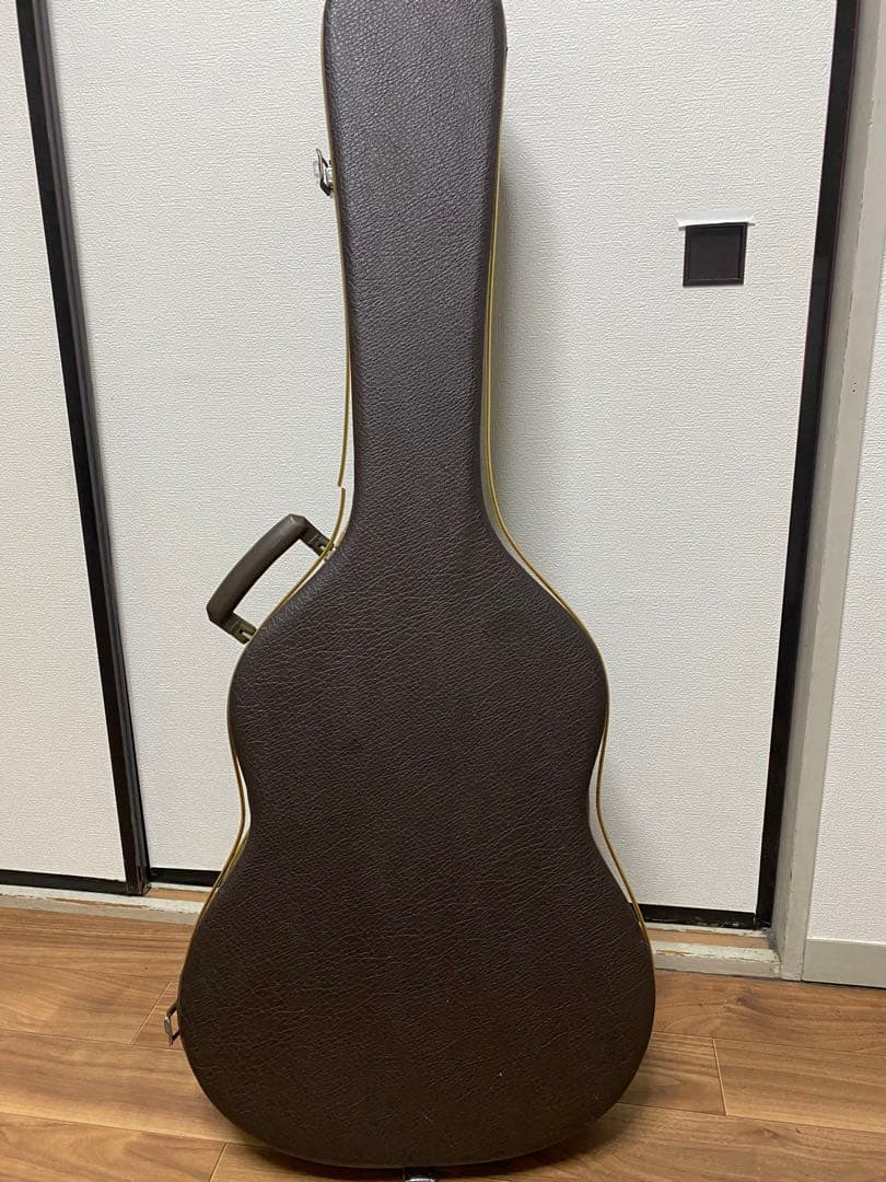 ThreeS Troubadour アコースティックギター 専用ケース付き