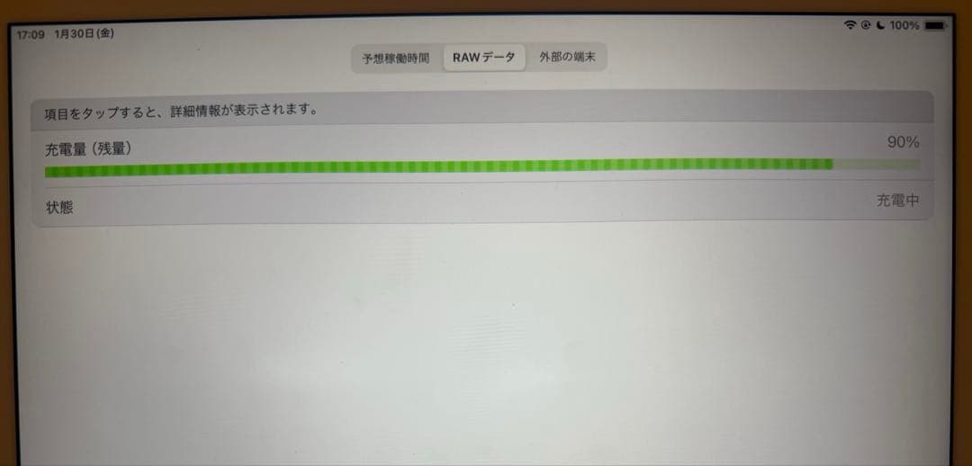 iPad Pro 12.9インチ (第2世代) 256GB Pencil付き