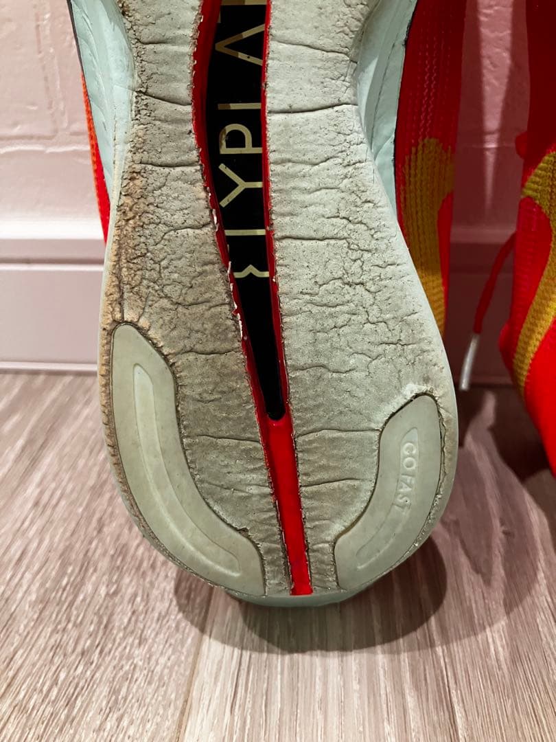 Nike ストリークフライ2 メンズ25.5cm