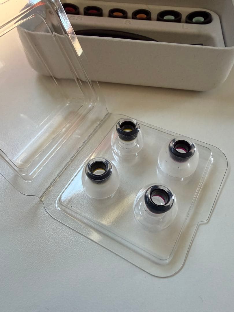 ソニー WF-1000XM5 ブラック 付属品完備 ワイヤレスイヤホン SONY