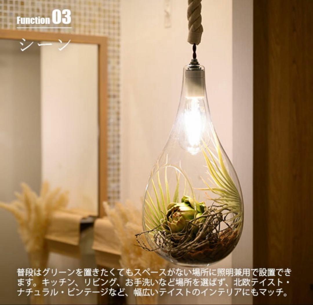 【未使用品】BOTANIC HANGING LIGHT Lサイズ　スワン電器