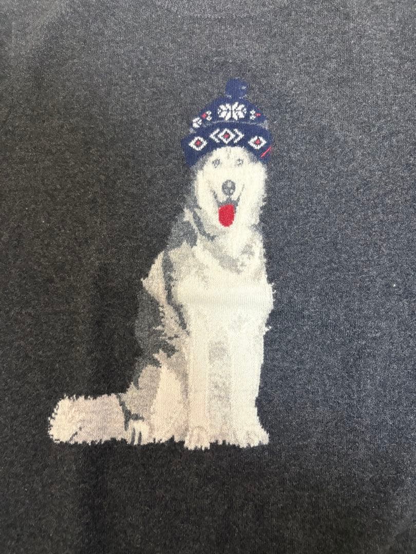 最終値下げPolo Ralph Lauren カシミヤセーター Sサイズ 犬刺繍