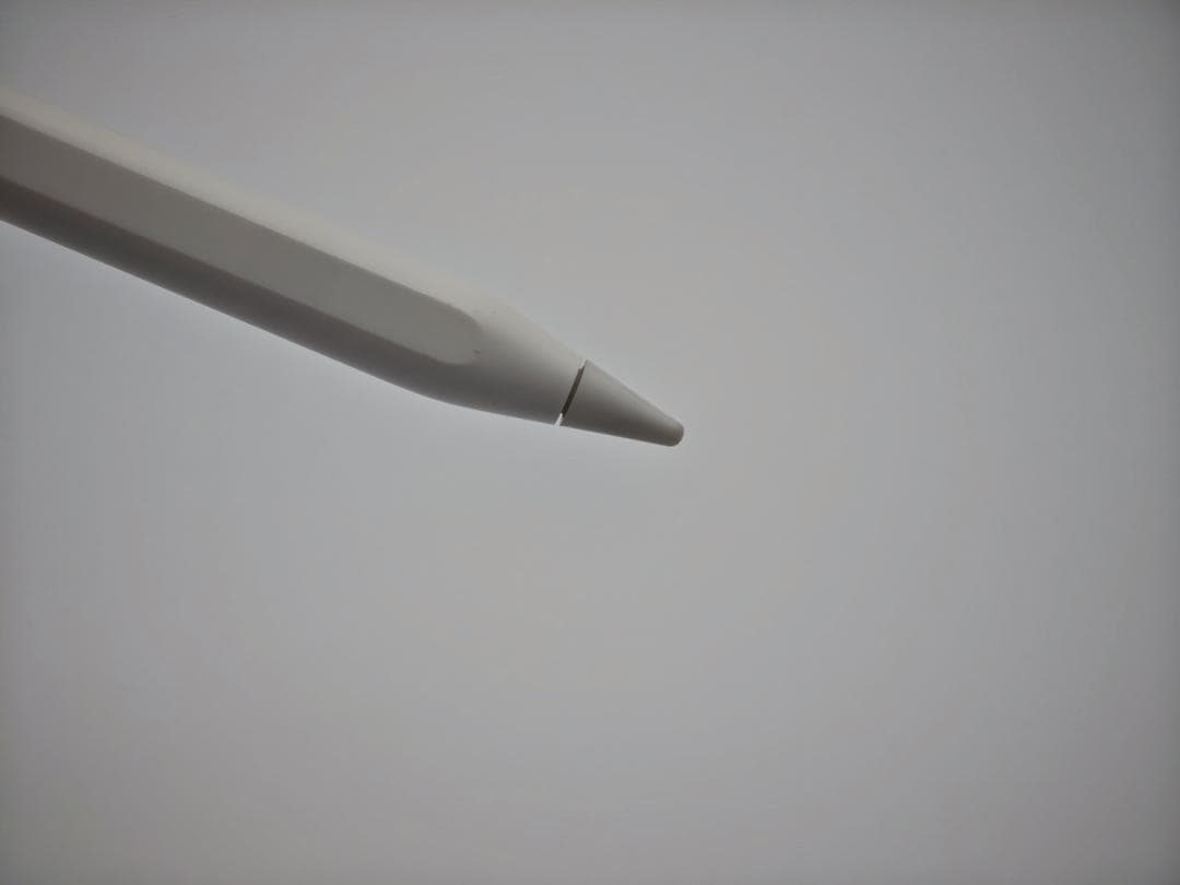 (表示不良) iPad Pro 11インチ 第4世代 Wi-Fi 128GB