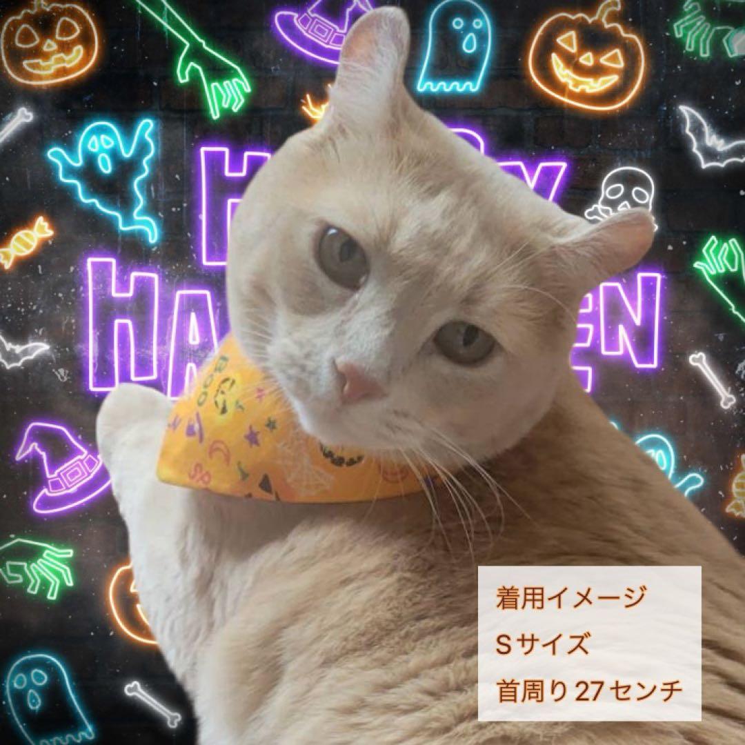 犬ネコ用リバーシブルバンダナ★着用イメージ写真★