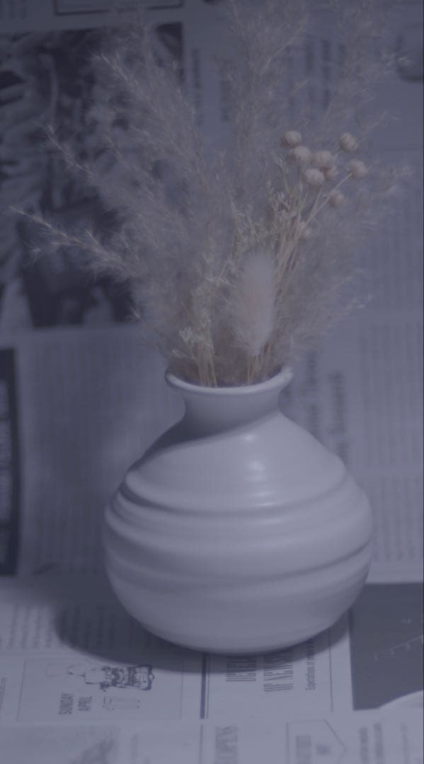 Leica Hektor 125mm F2.5 12.5cm ビゾフレックス用