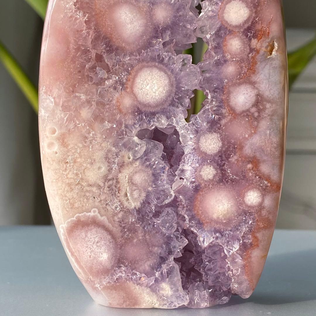 ヤシの実様　お受け取りまでのご確認用ページ