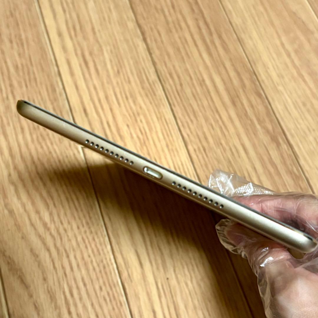 iPad mini 第4世代　バッテリー最大容量96%　Cellular
