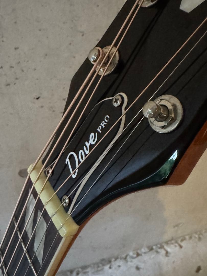 Epiphone Dove Pro エレアコ 即発送