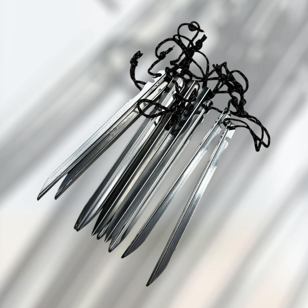 8718.ヘリテイジ 山岳テント マキシムX 2-3人用 グリーン