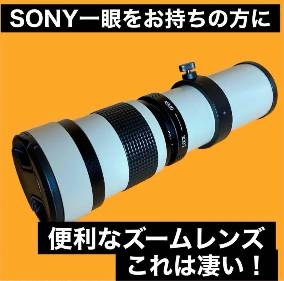 SONYミラーレスカメラに対応！ズームレンズ！おすすめ！初心者でもサポートします