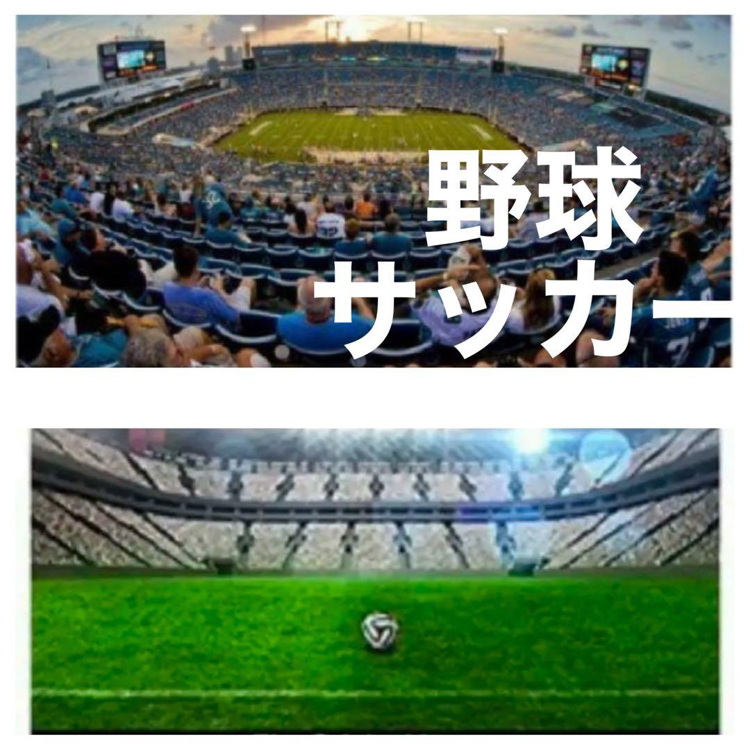 SONYミラーレスカメラに対応！ズームレンズ！おすすめ！初心者でもサポートします