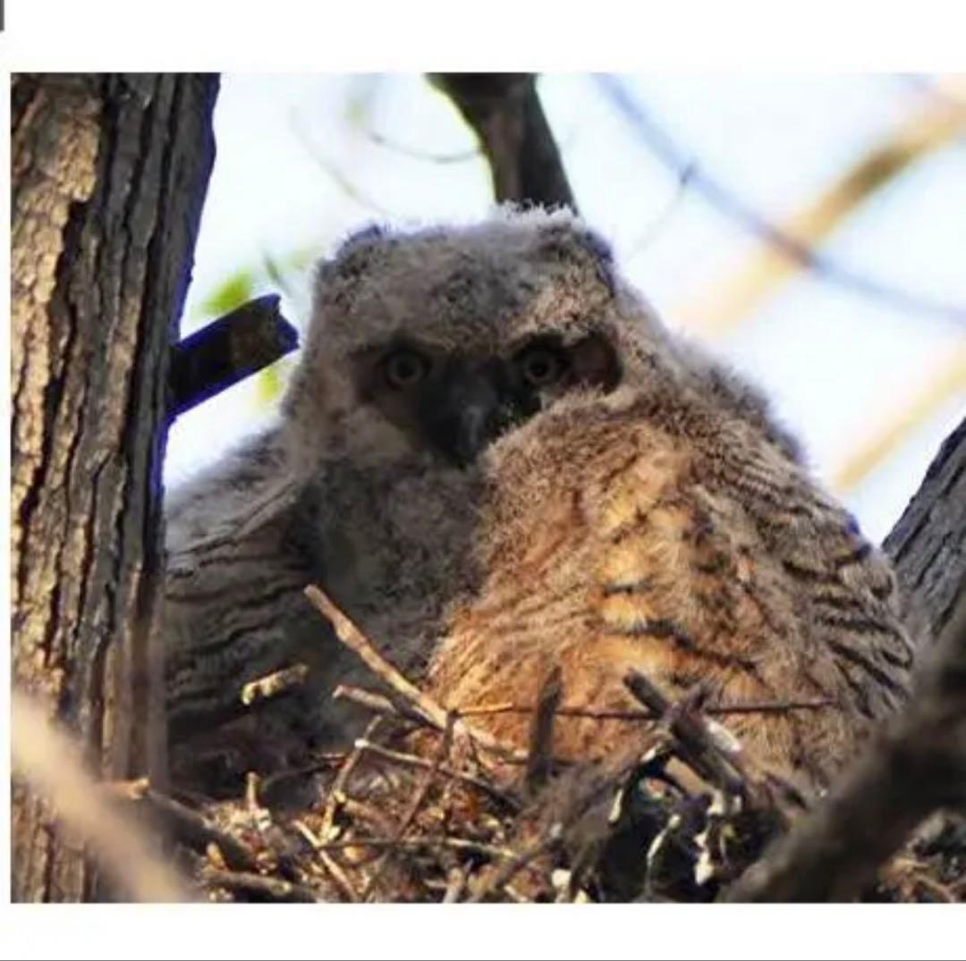 SONYミラーレスカメラに対応！ズームレンズ！おすすめ！初心者でもサポートします