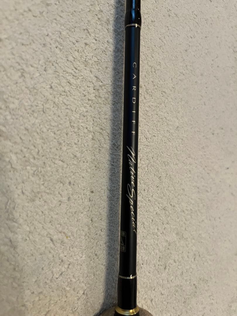ロッド SHIMANO CARDIFF Native Special B64L