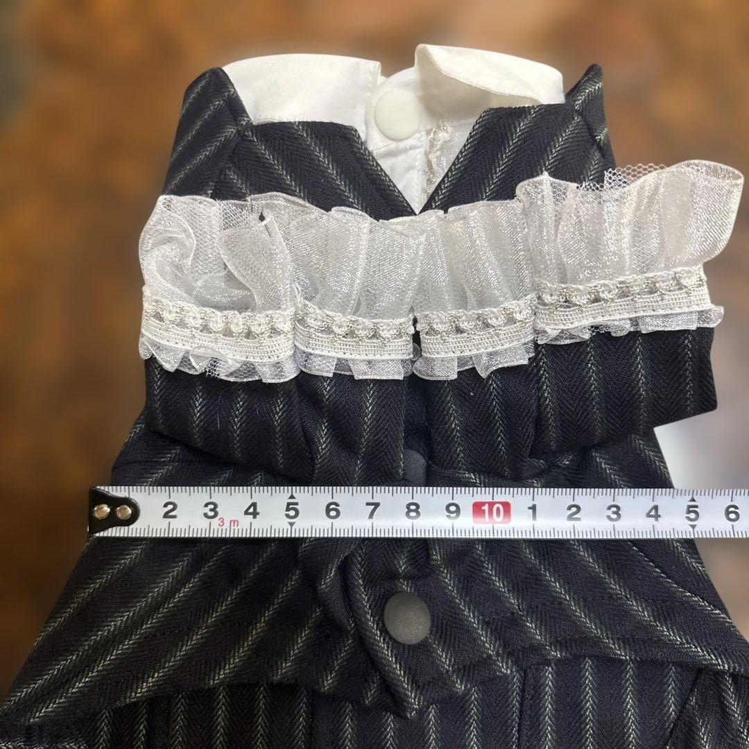 パピリーヒルズ 犬服 Tuxedo set up 黒と白のストライプ