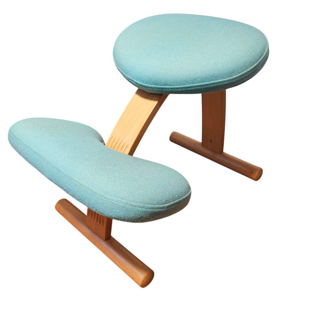 【送料無料】バランスラボ (旧サカモトハウス) バランスチェア