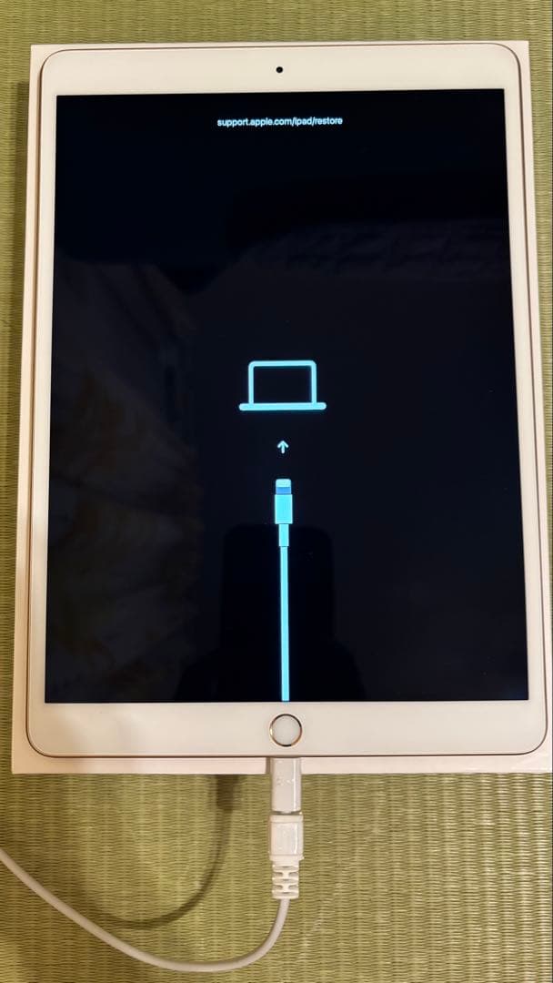 ⭐︎iPad Air 第3世代 64GB ゴールド A2152 ジャンク⭐︎