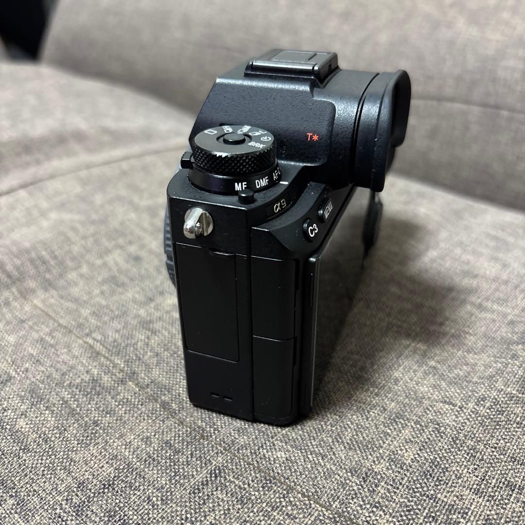 SONY α9 （ILCE-9+シグマmc-11）