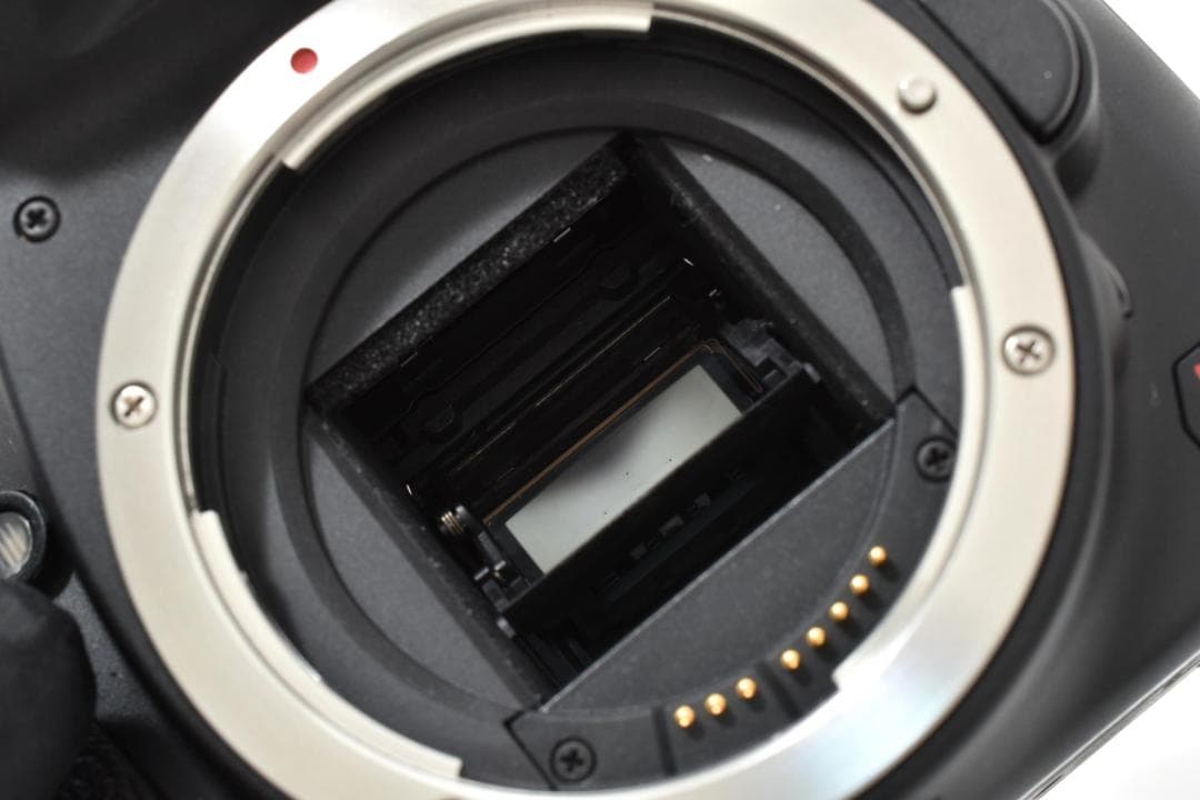 ★超美品★キャノン Canon EOS Kiss X3 ボディ #20809