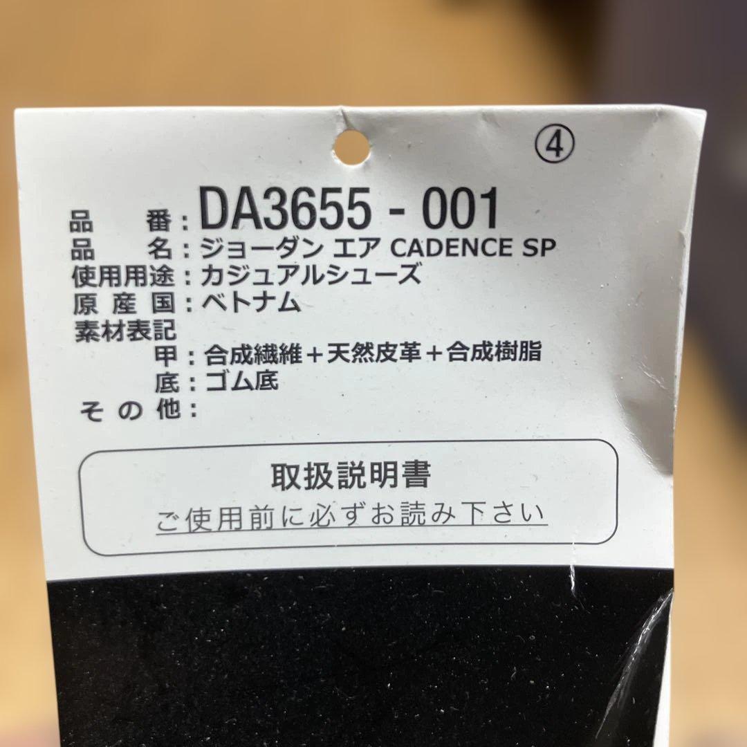 シューズ(男性用) Jordan Air Cadence SP